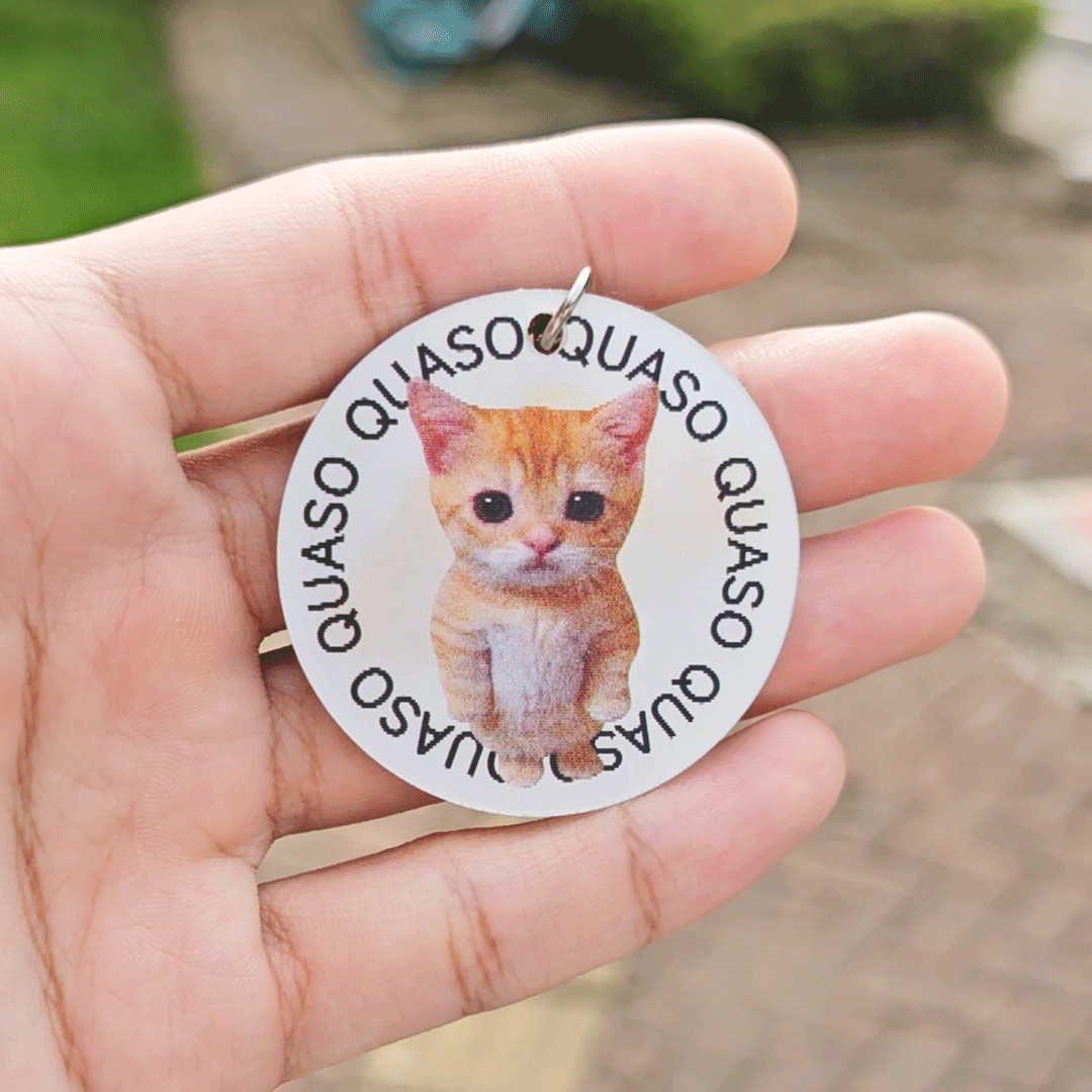 🥐Quaso Cat Gif Charm