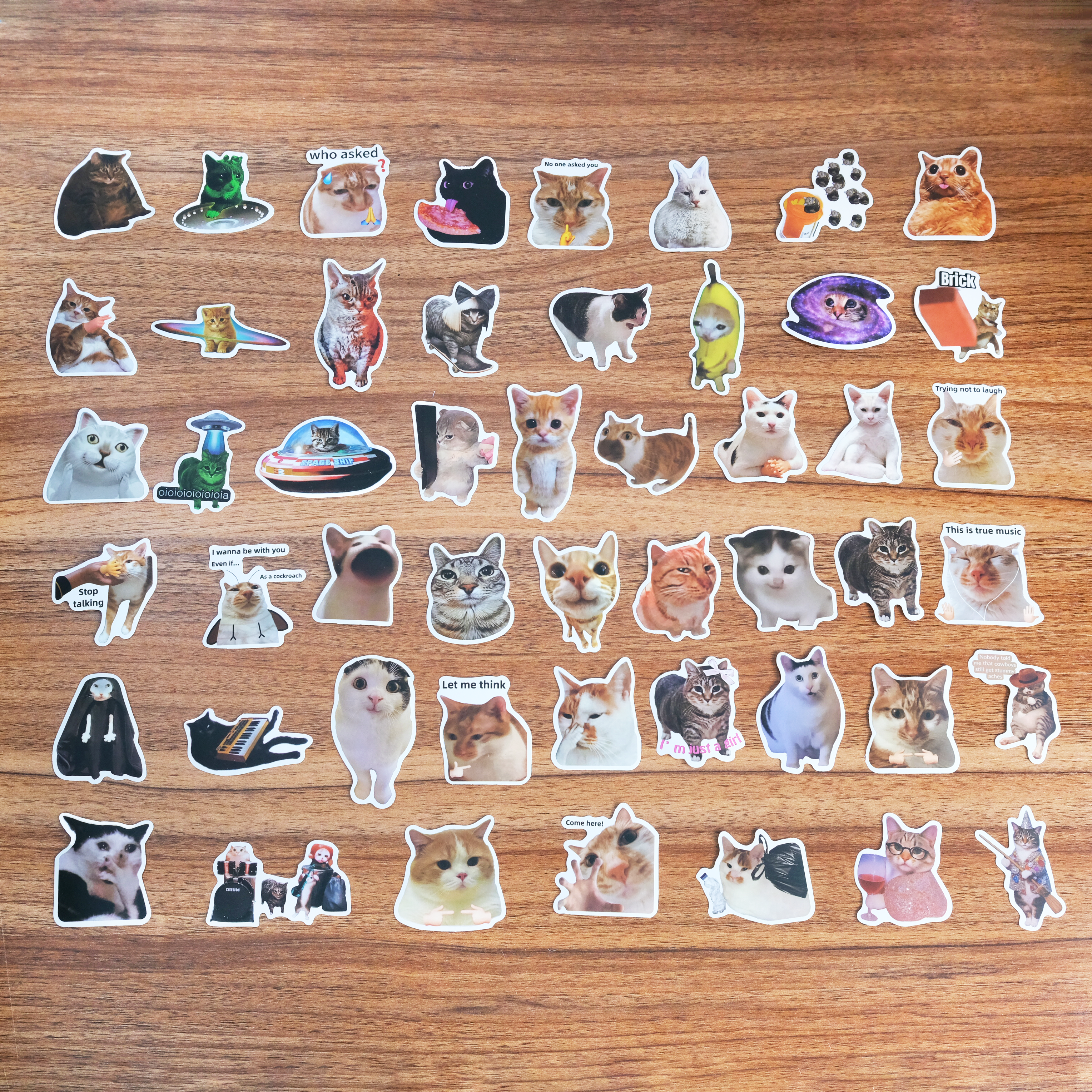 50 Piece Cat Meme Stickers Pack