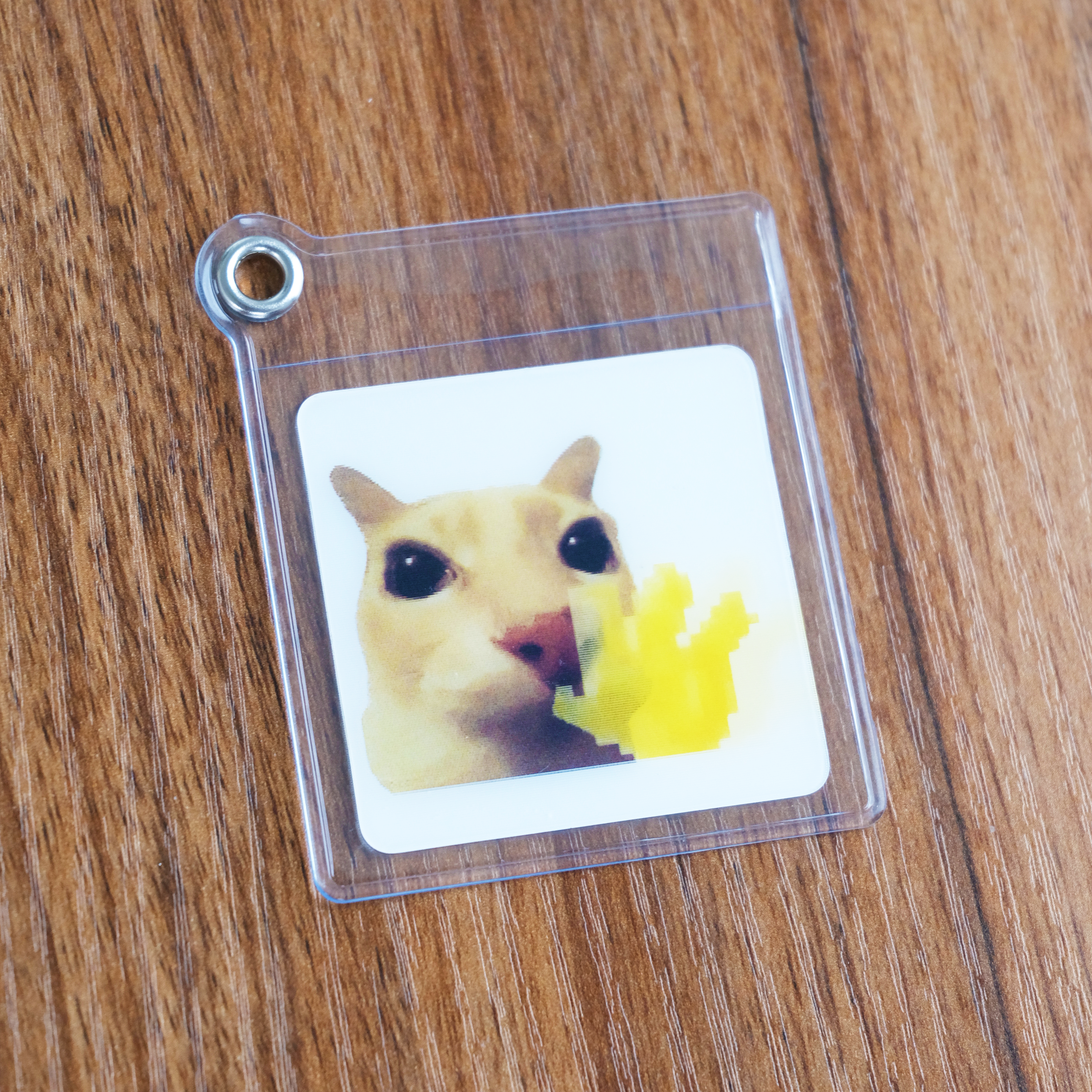 Hello Cat Gif Charms