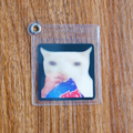 Chip Cat Gif Charms