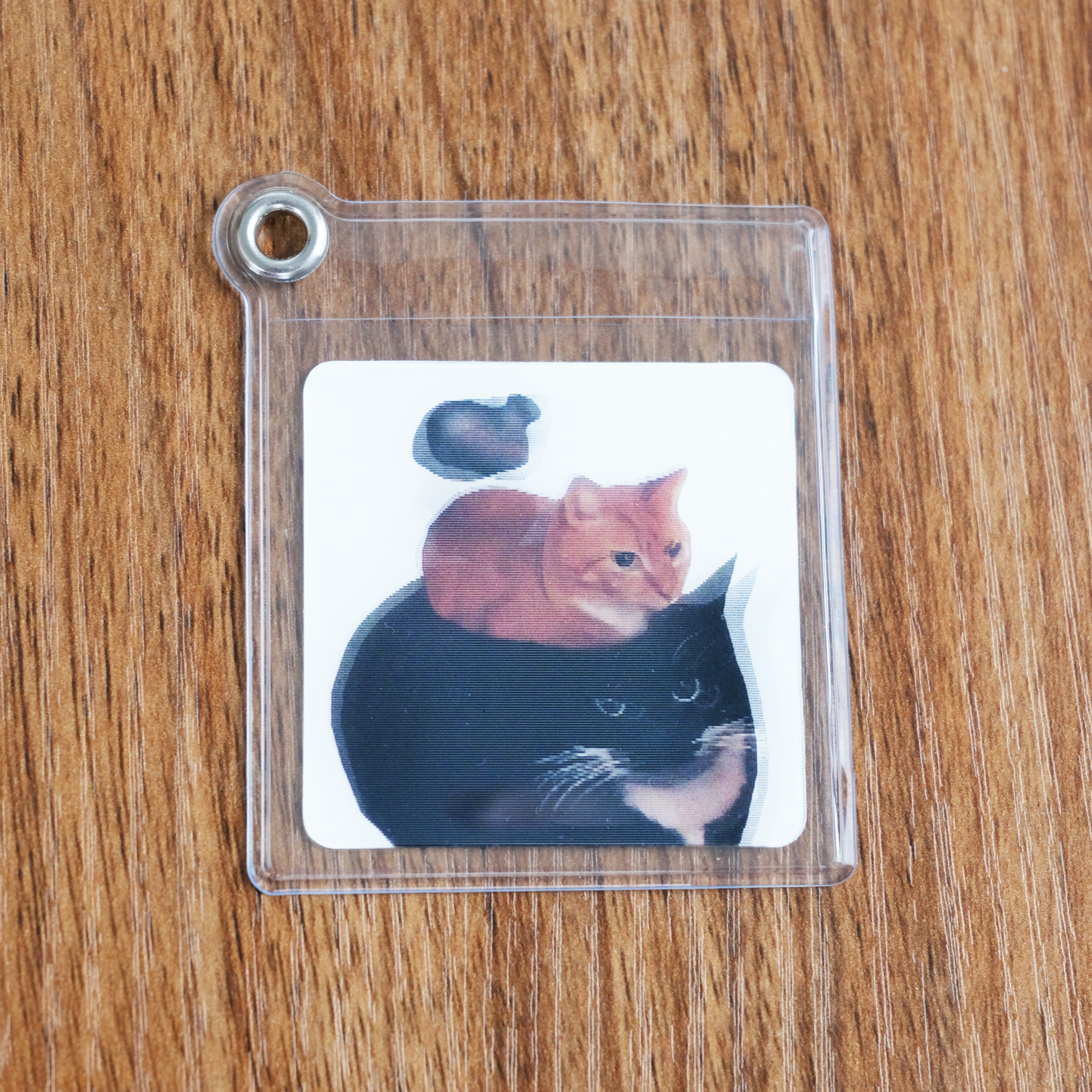 Three Cat Gif Charms