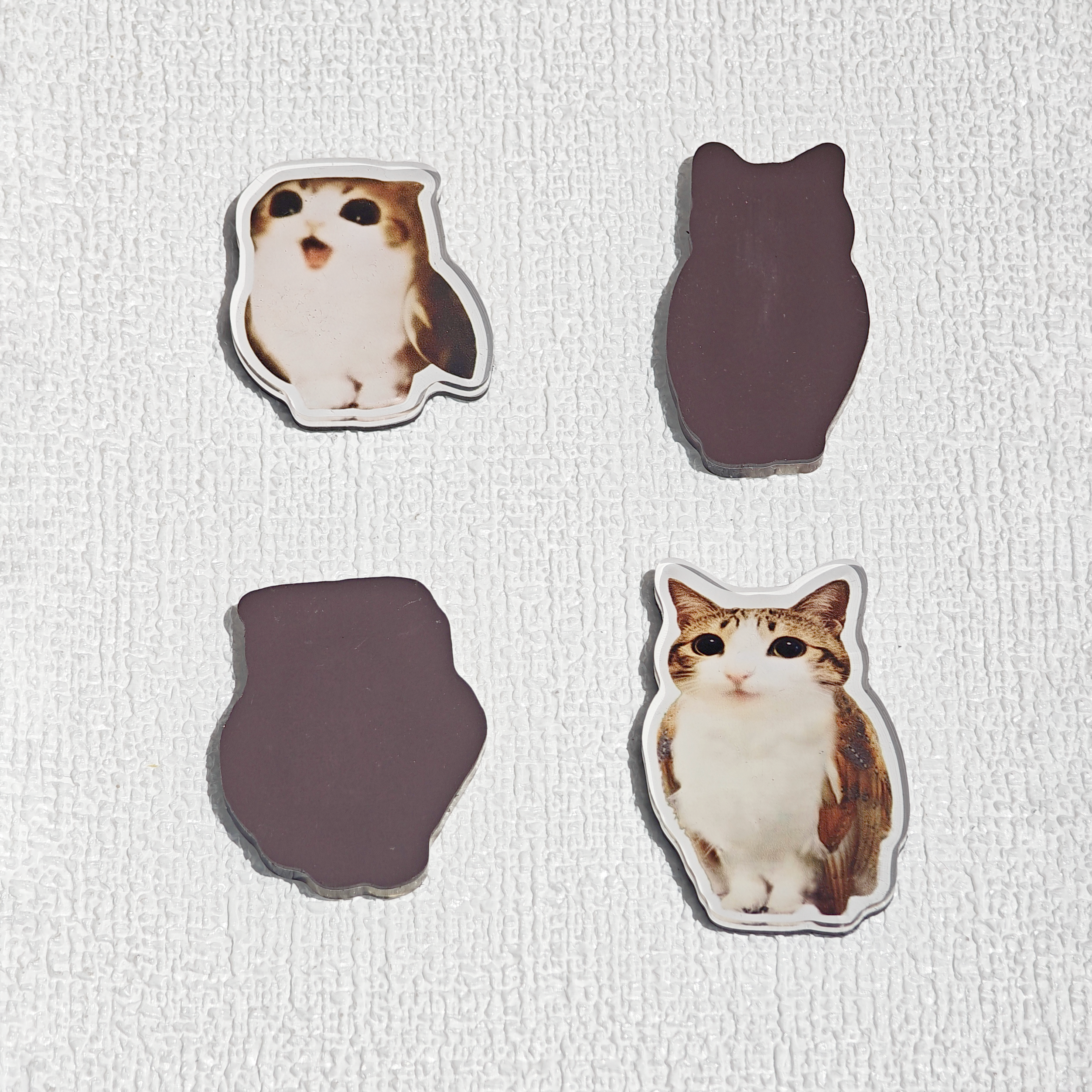 Meowl Acrylic Fridge Magnet Pack