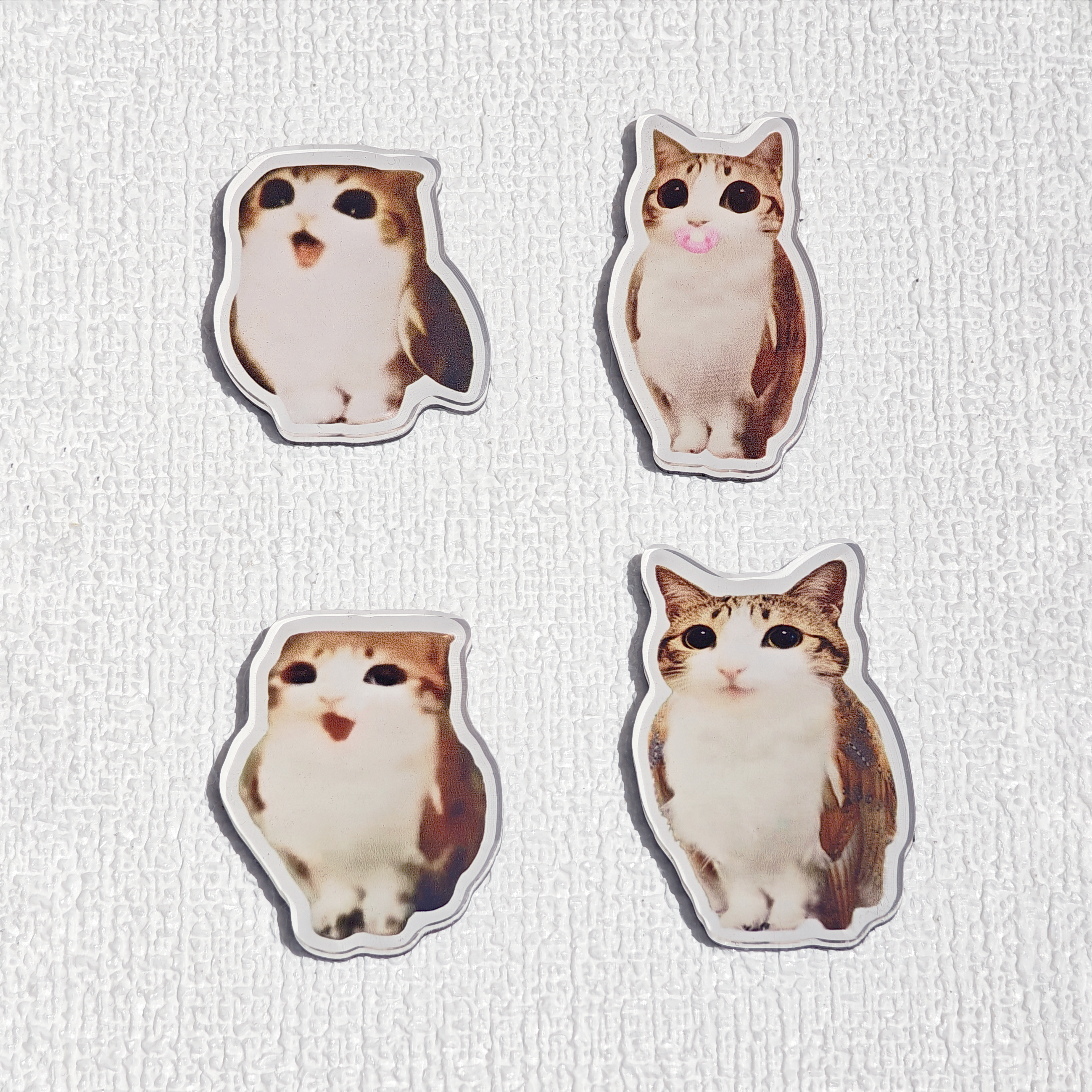Meowl Acrylic Fridge Magnet Pack