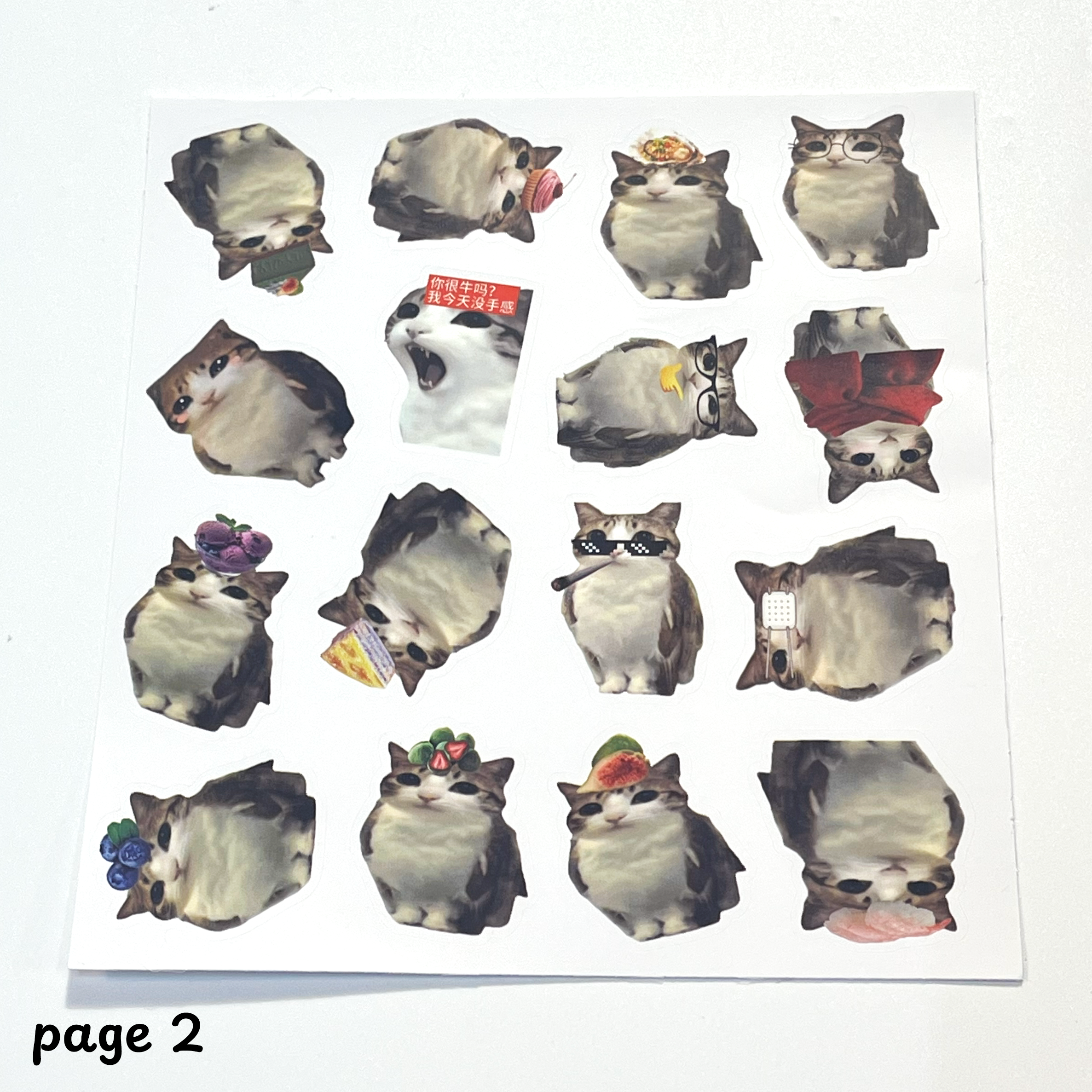 100 Piece Meowl Stickers Pack