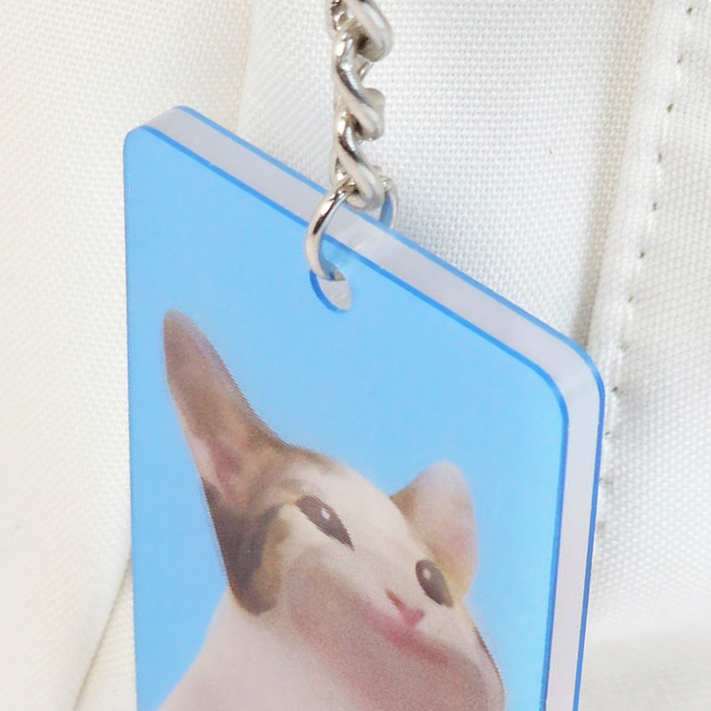 Pop Cat Gif Charm